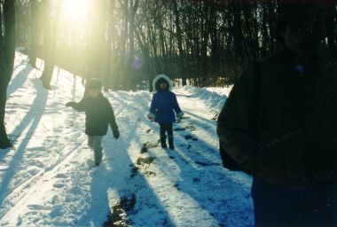 000206-shade.jpg - 20.3 K