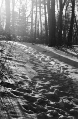 000206-surface.jpg - 23.8 K