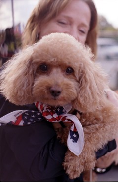 011014-puppy.jpg - 23.8 K