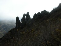 020921-manekiiwa.jpg - 6.6 K