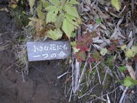 020921-sign.jpg - 14.2 K