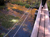 020922-trail.jpg - 13.1 K