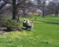 010422-scene.jpg - 10.5 K