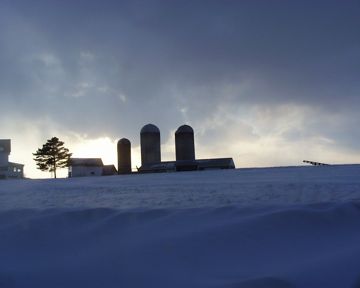 010223-farmland.jpg - 9.0 K