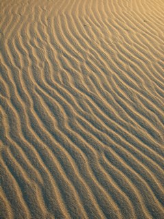 040905-sand.jpg - 27.1 K