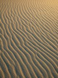 040905-sandS.jpg - 7.6 K