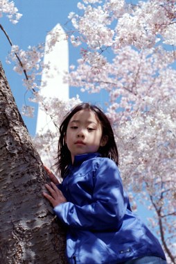020402-karin&sakura.jpg - 33.6 K