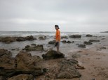 030615-beach.jpg - 5.5 K